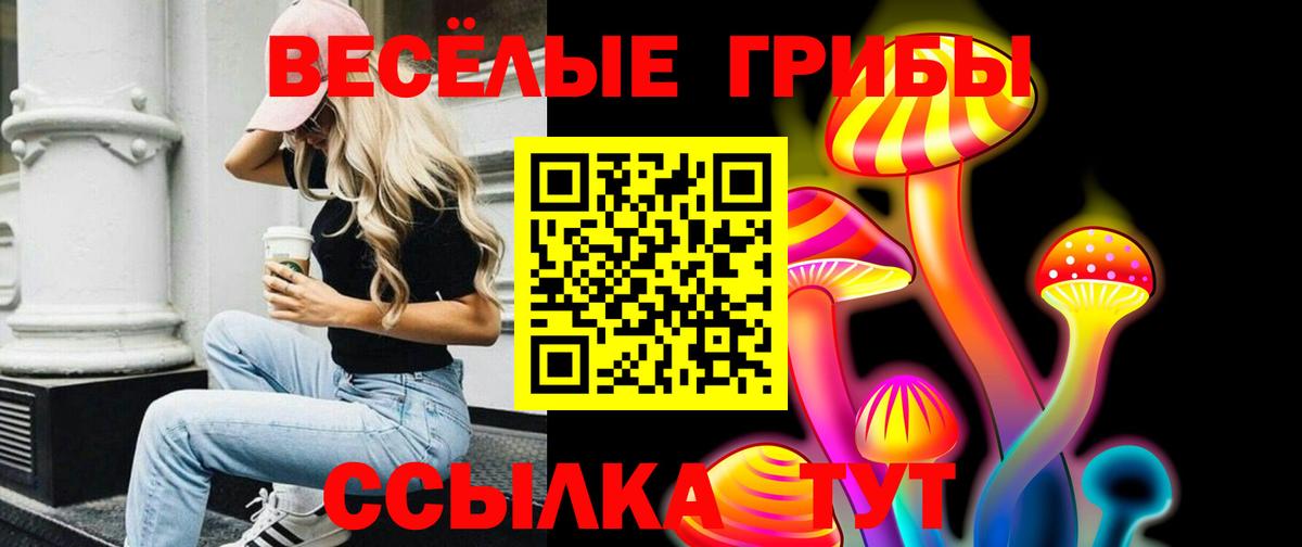 Галлюциногенные грибы Psilocybe Железногорск
